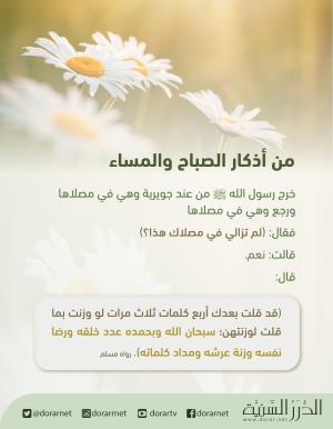 سبحان الله وبحمده عدد خلقة